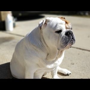 Meet your Posher, Sharon